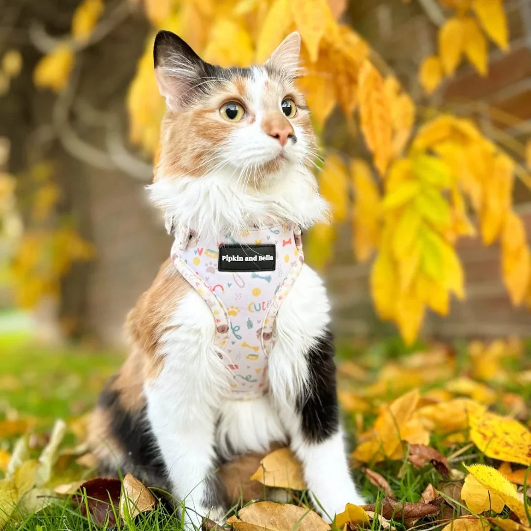 Cat Collars, Harnesses, Leads & Tags