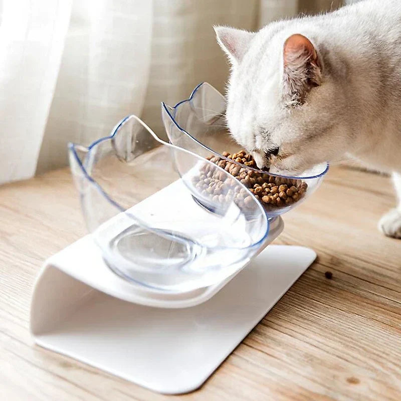 Cat Bowls & Feeding Accessories