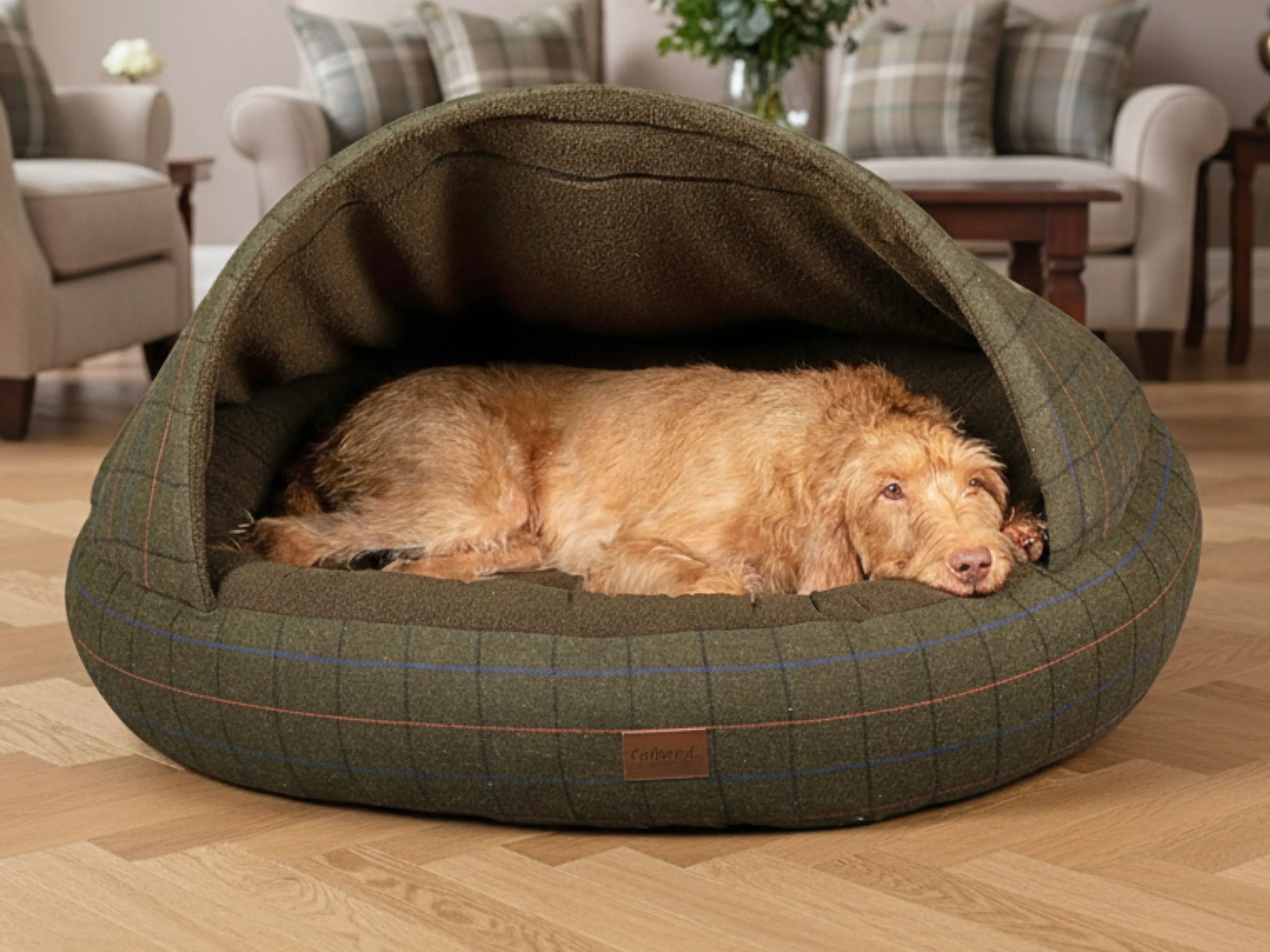 Dog Beds