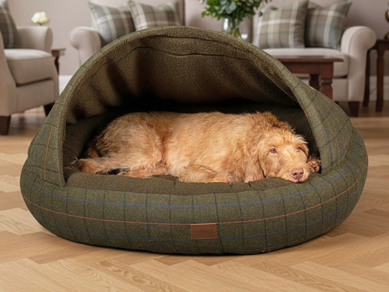 Dog Beds