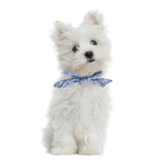 Stylish Plaid & Dots Pet Bandana – Soft Cotton, Washable & Perfect for Puppies & Kittens