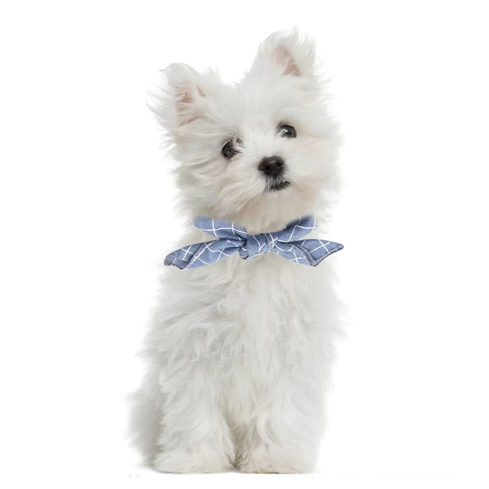 Stylish Plaid & Dots Pet Bandana – Soft Cotton, Washable & Perfect for Puppies & Kittens