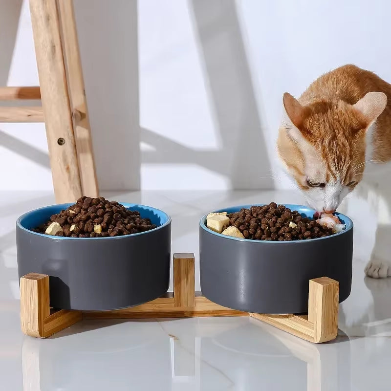 Premium Ceramic Cat & Dog Food Bowl with Wooden Stand