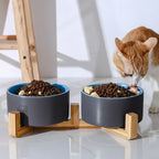 Premium Ceramic Cat & Dog Food Bowl with Wooden Stand