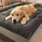 Warm Dog & Cat Sofa Bed