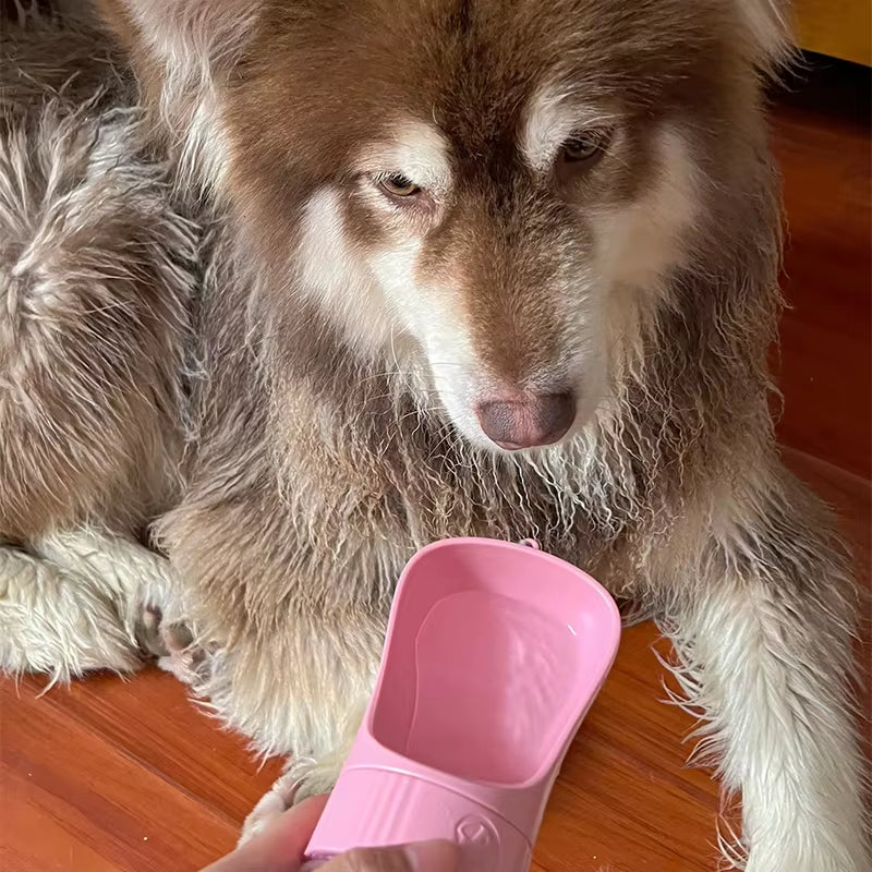 Portable Water Bottle & Food Dispenser