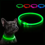LED Dog Collar – Rechargeable Glow Night Safety Collar for Dogs
