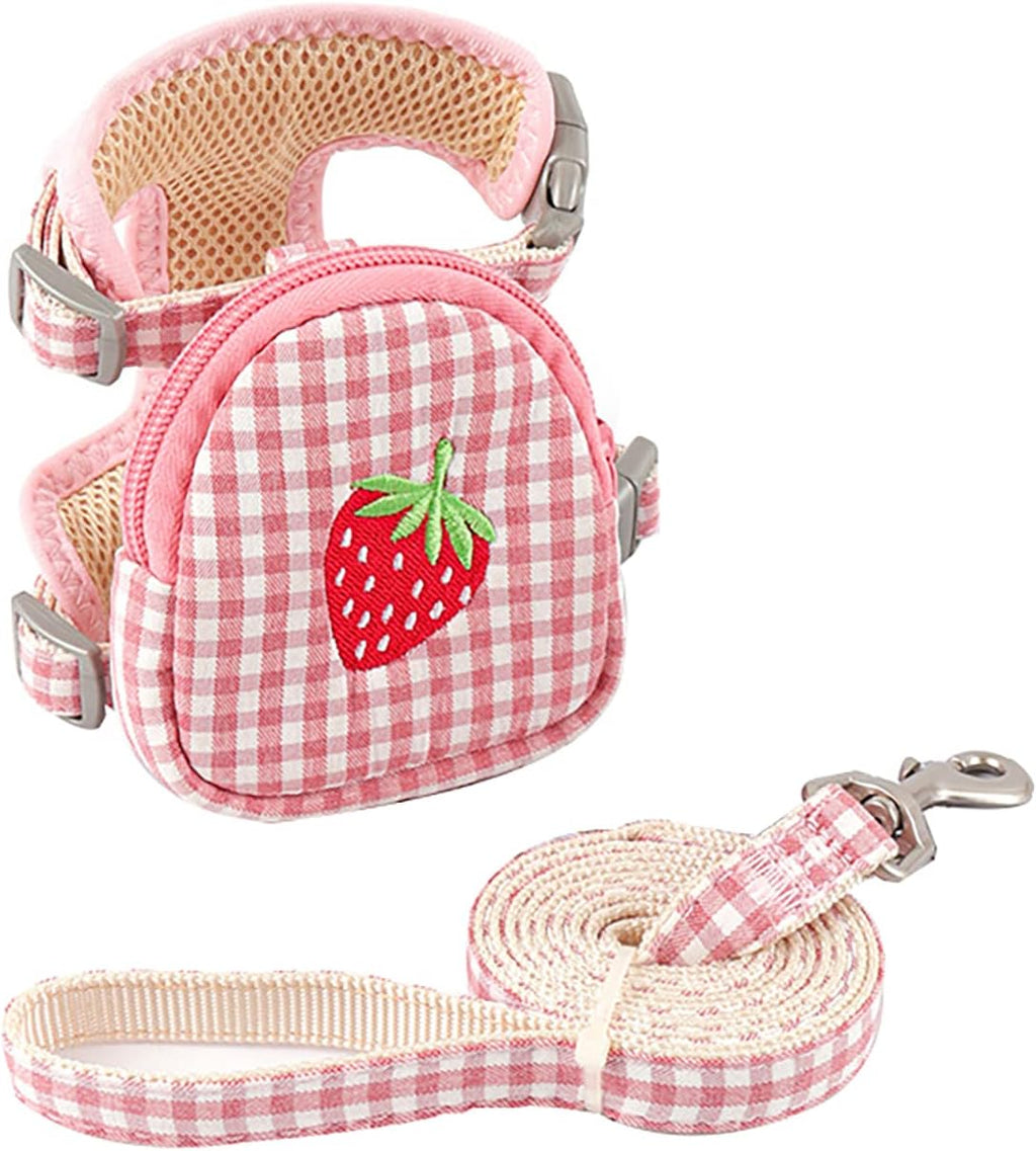 Backpack Harness with Leash – Lightweight Mini Carrier for Small Dogs & Cats