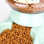 Pet Feeder Bowl & Automatic Water Dispenser