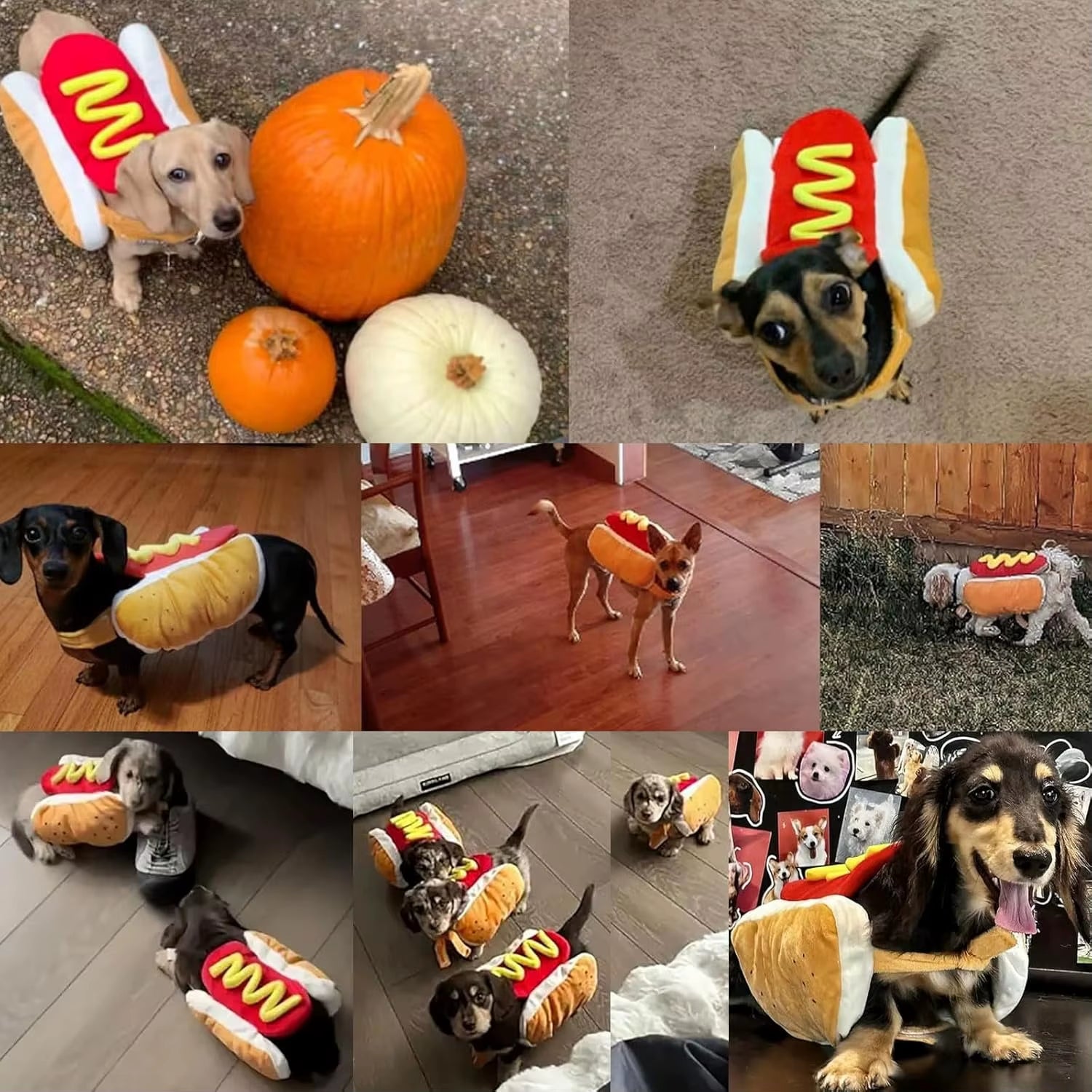 Funny Hot Dog Costume for Dogs 