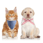 Stylish Plaid & Dots Pet Bandana – Soft Cotton, Washable & Perfect for Puppies & Kittens
