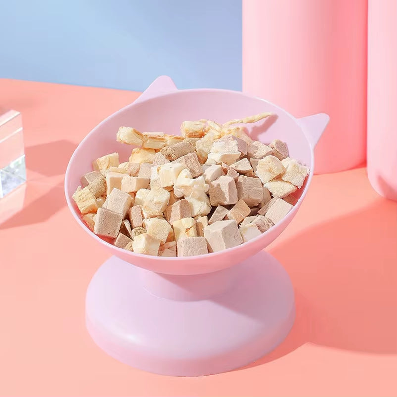 45° Elevated Pet Feeding Bowl – Anti-Spill, Neck-Protecting 