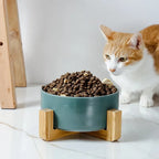 Premium Ceramic Cat & Dog Food Bowl with Wooden Stand