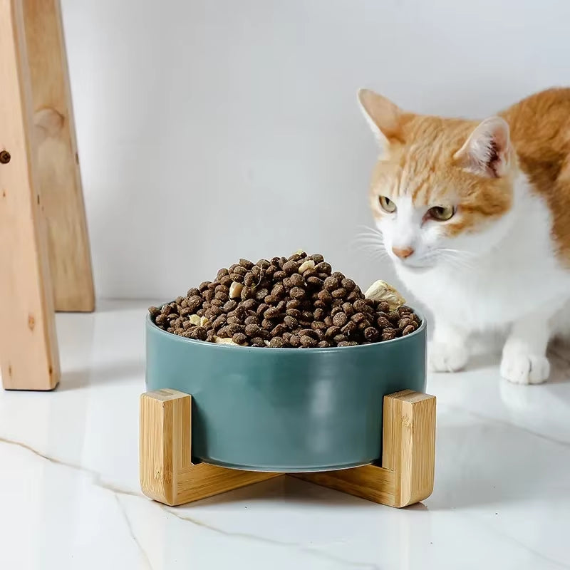 Premium Ceramic Cat & Dog Food Bowl with Wooden Stand