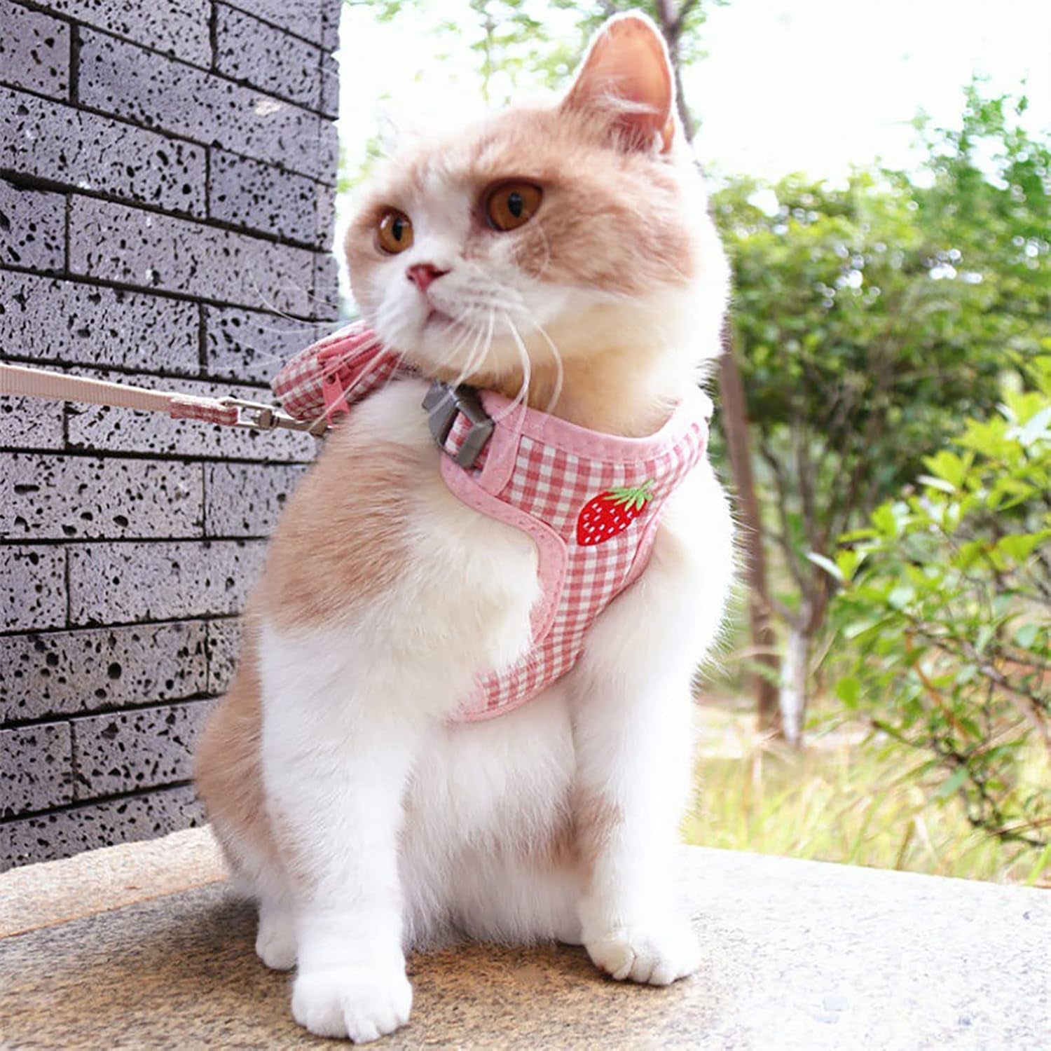 Backpack Harness with Leash – Lightweight Mini Carrier for Small Dogs & Cats