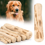 Coffee Wood Dog Chew Stick
