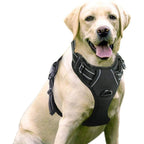 Reflective & Breathable Adjustable Dog Harness – Safe, Secure & Comfortable
