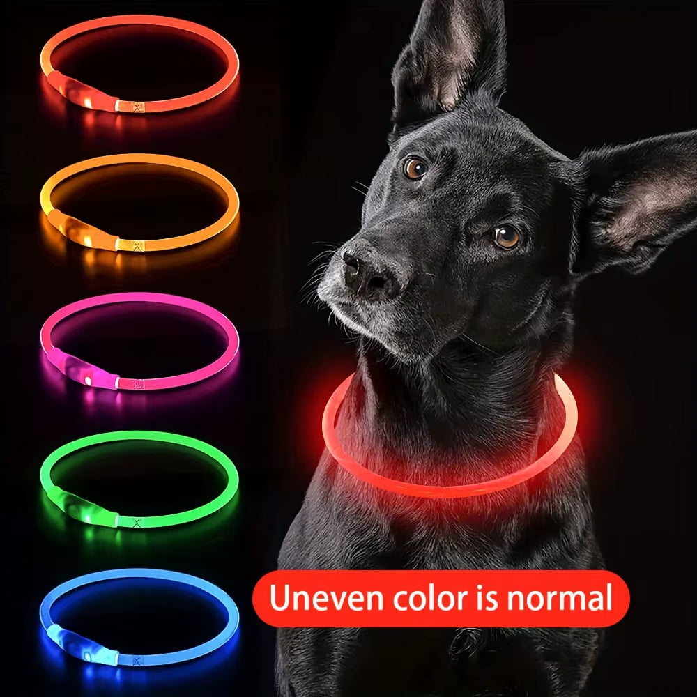 LED Dog Collar – Rechargeable Glow Night Safety Collar for Dogs
