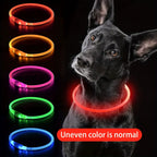 LED Dog Collar – Rechargeable Glow Night Safety Collar for Dogs