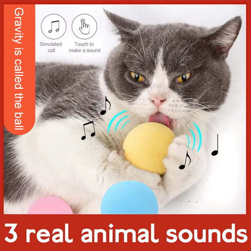 Interactive Cat Sound Ball