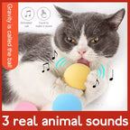 Interactive Cat Sound Ball