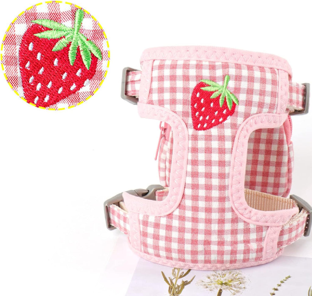 Backpack Harness with Leash – Lightweight Mini Carrier for Small Dogs & Cats