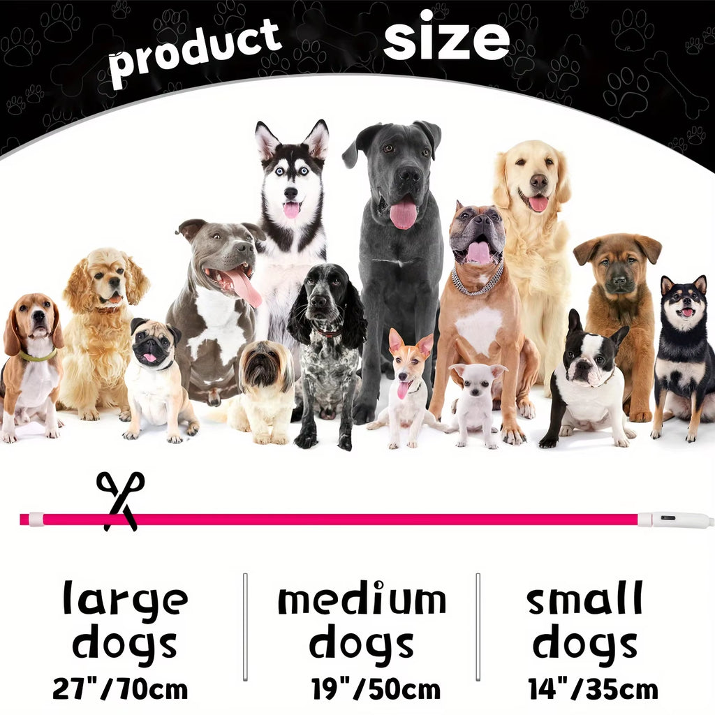 LED Dog Collar – Rechargeable Glow Night Safety Collar for Dogs