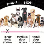 LED Dog Collar – Rechargeable Glow Night Safety Collar for Dogs